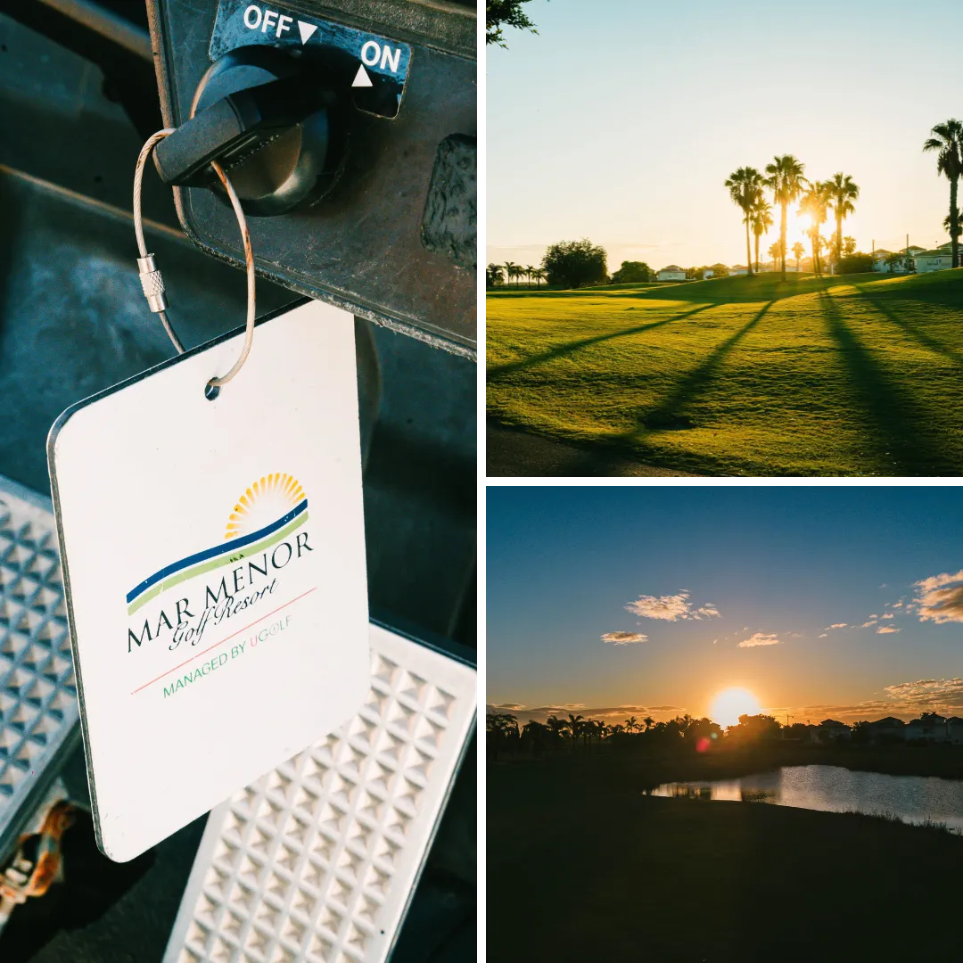 dceaddfda Diseño sin título () ()