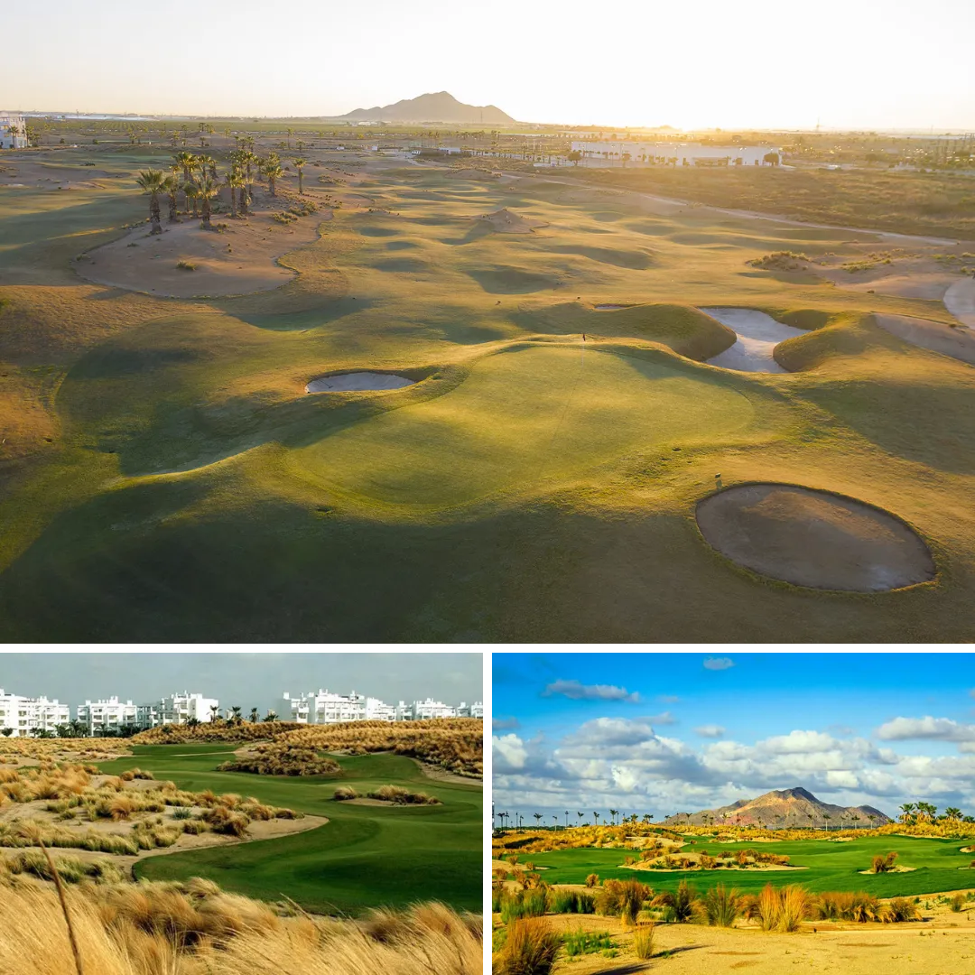 dceaddfda Diseño sin título () ()