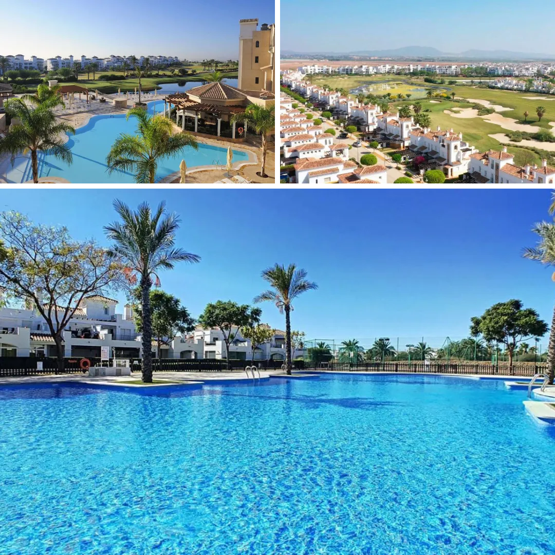 dceaddfda Diseño sin título () ()