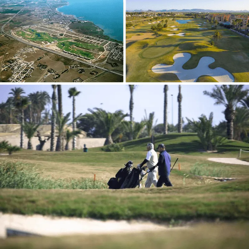 dceaddfda Diseño sin título () ()