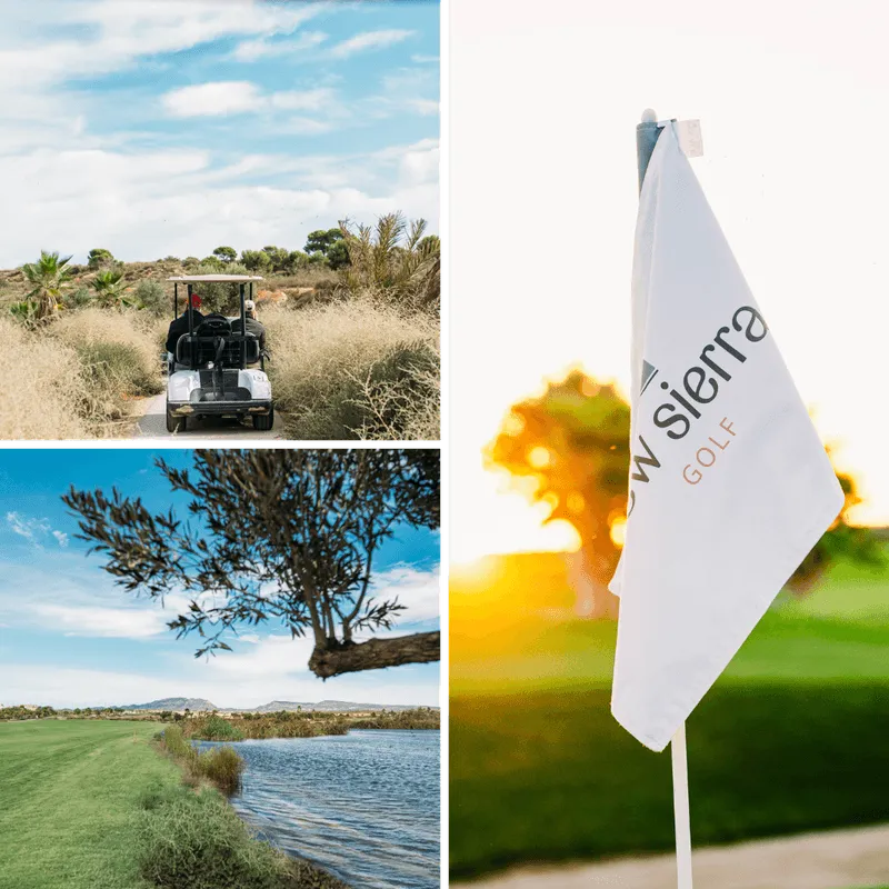 dceaddfda Diseño sin título ()