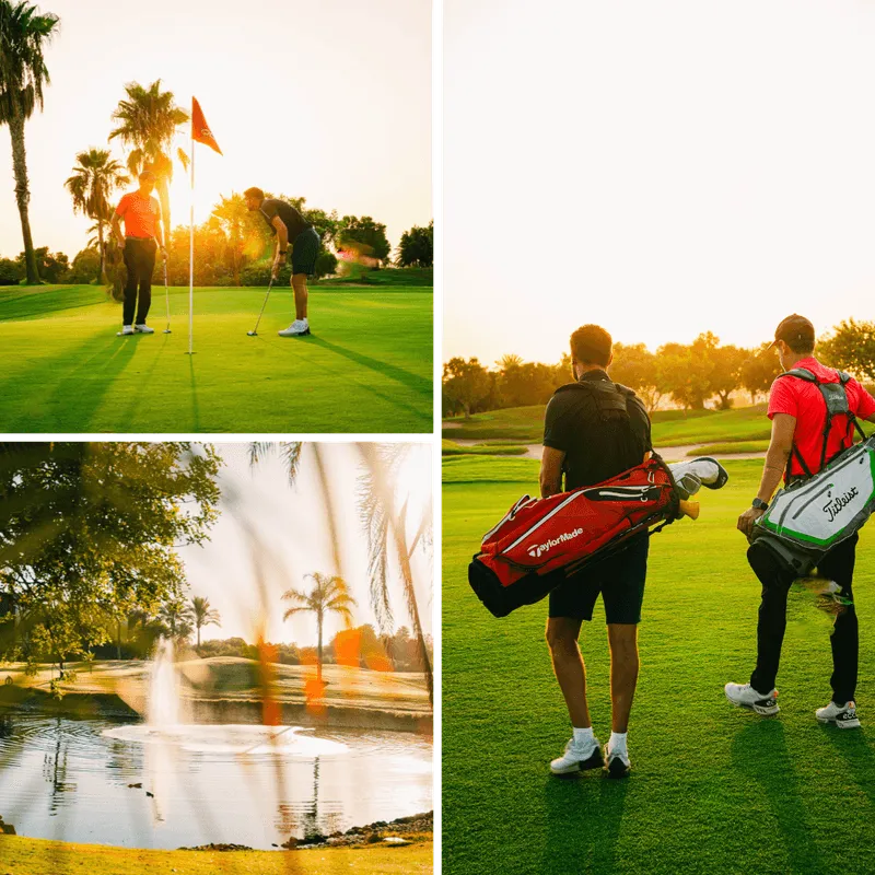 dceaddfda Diseño sin título () ()