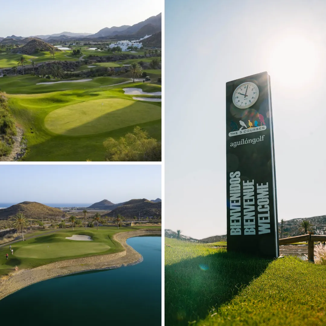 dceaddfdaa Diseño sin título () ()