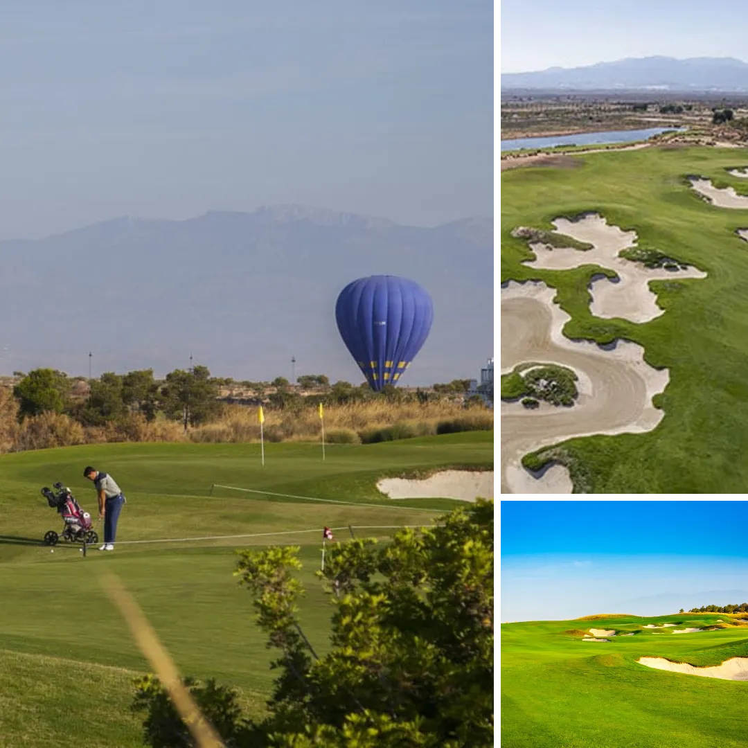 dceaddfdab Diseño sin título () ()