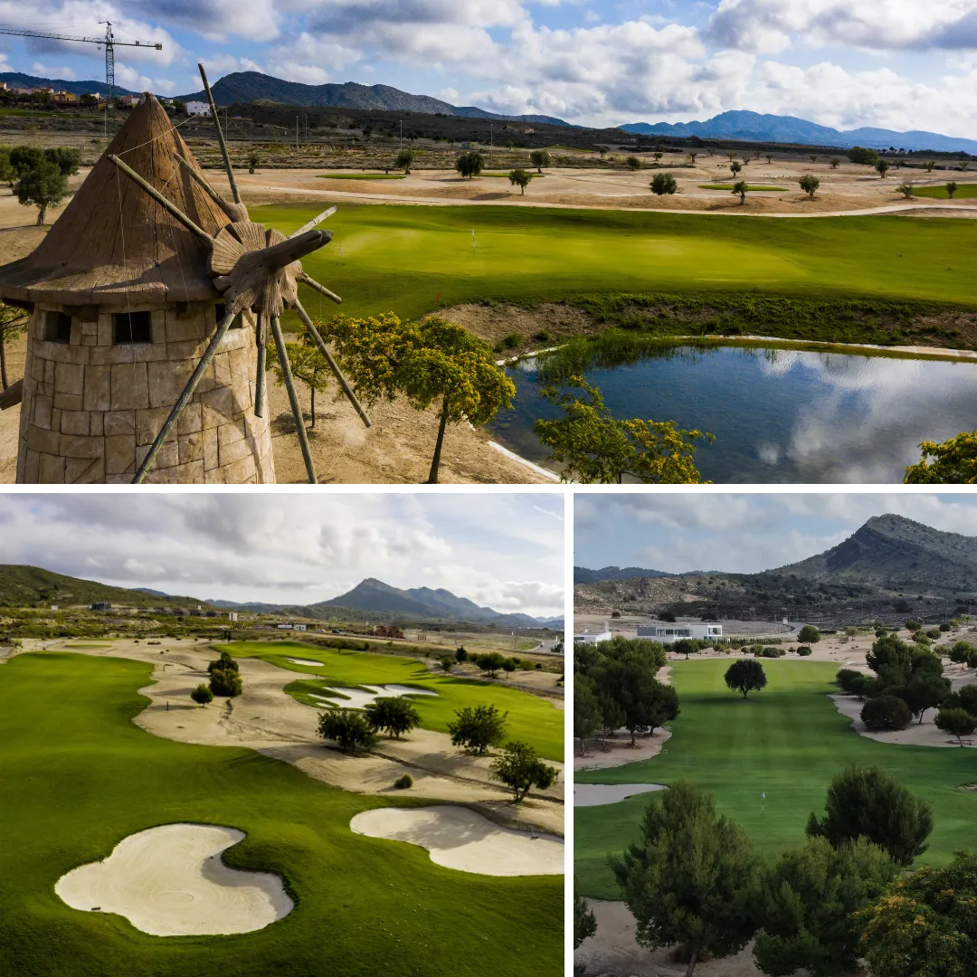 dceaddfdac Diseño sin título () ()