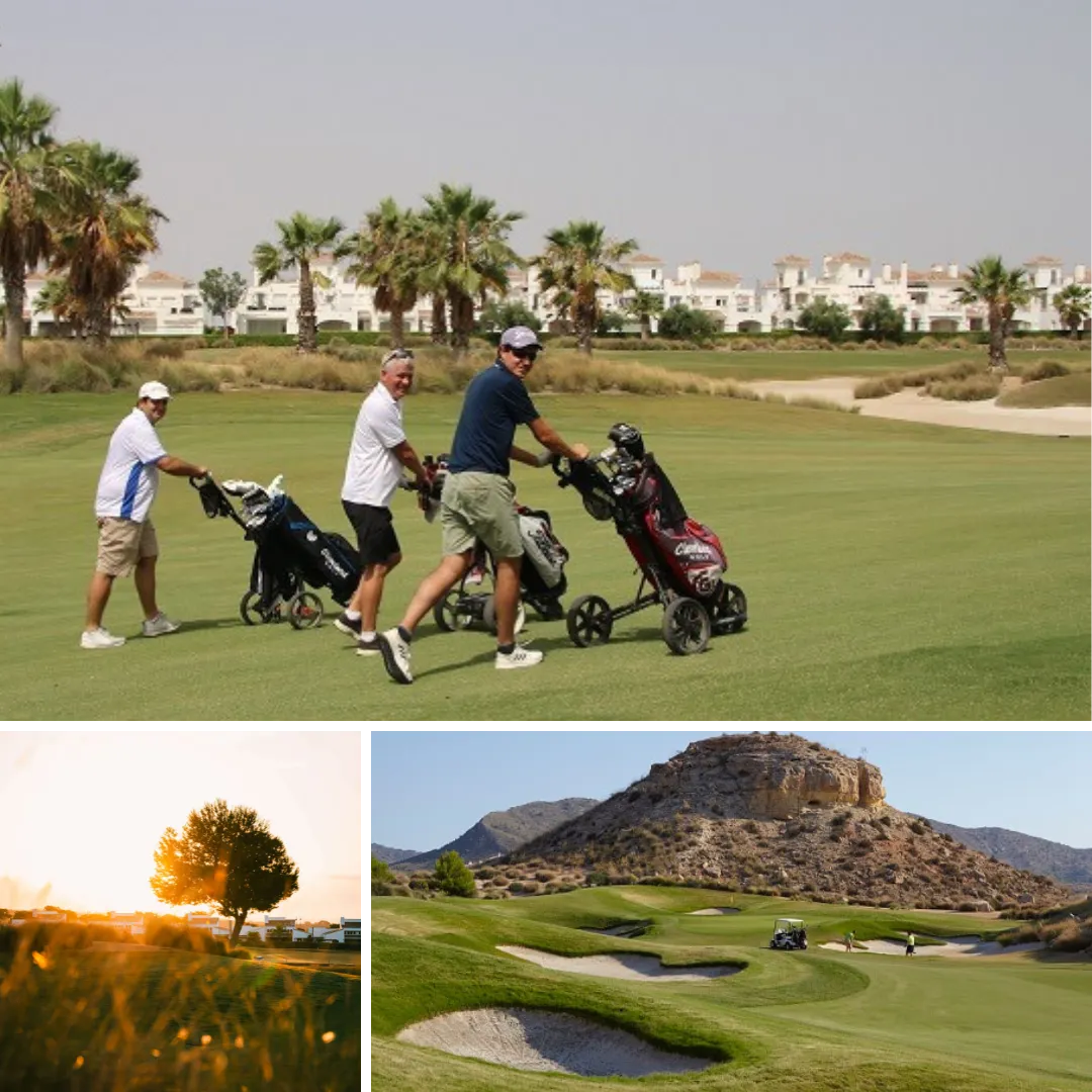 dceaddfdae Diseño sin título () ()