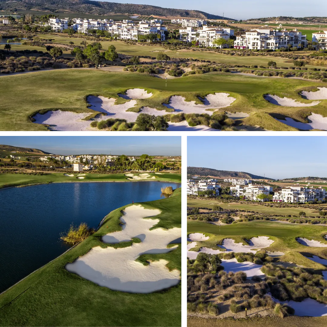 dceaddfdf La frase aqui tampoco demasiado larga ()