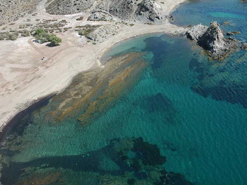 Apartamentos turísticos Águilas de Los Collados ()